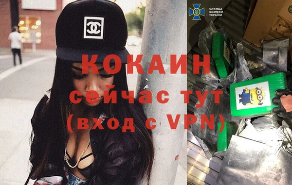 ECSTASY Дмитриев