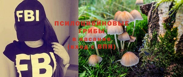 мдма Дмитровск