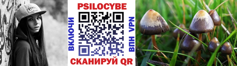 Псилоцибиновые грибы ЛСД  Полтавская 